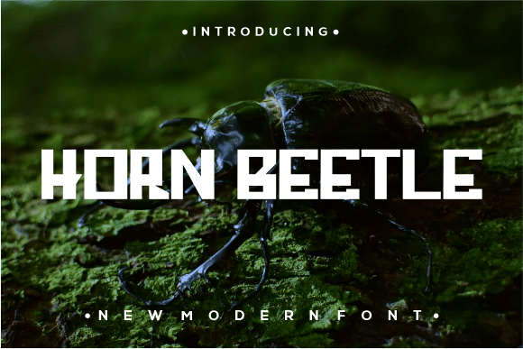 Horn Beetle: A Modern Font for Business Success