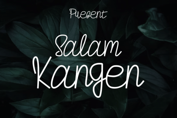 Salam Kangen: A Elegant Script Font