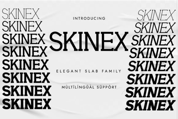Skinex: A Modern Slab Serif for Web Design